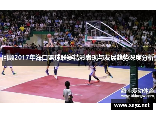 回顾2017年海口篮球联赛精彩表现与发展趋势深度分析