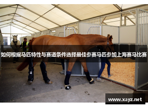 如何根据马匹特性与赛道条件选择最佳参赛马匹参加上海赛马比赛