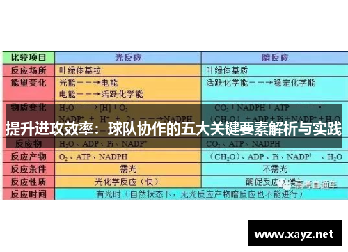 提升进攻效率：球队协作的五大关键要素解析与实践