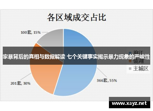 家暴背后的真相与数据解读 七个关键事实揭示暴力现象的严峻性