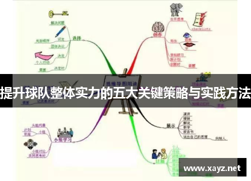 提升球队整体实力的五大关键策略与实践方法